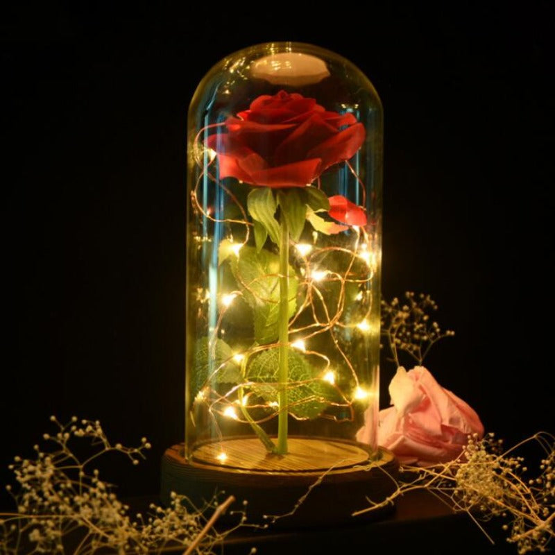 Elysmode Rose Lamp brown Enchanted Forever Rose Flower In Glass LED Light Christmas Decoration