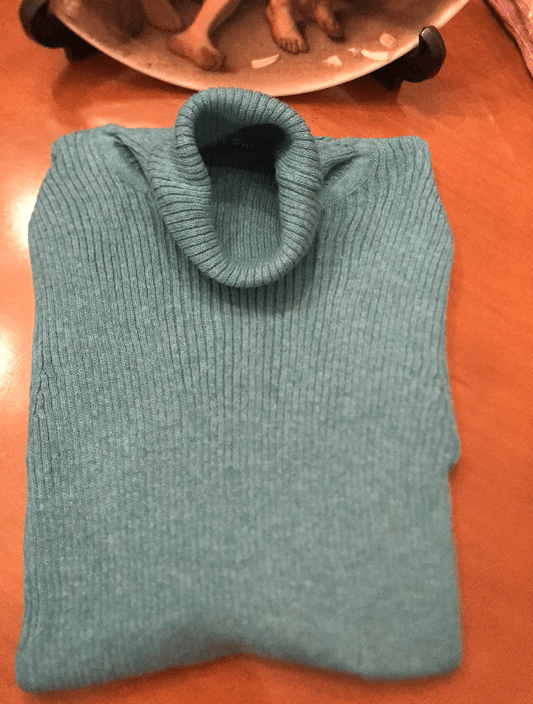 ElysMode Shirts & Tops Dark Sea Green Turtleneck Sweaters